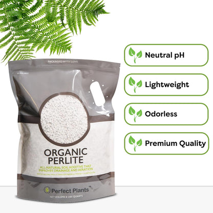 Organic Perlite by  — Add to Soil for Indoor & Outdoor Container Plants for Drainage Management and Enhanced Growth (8Qts.)